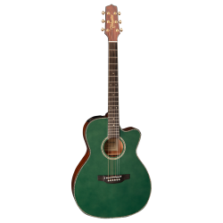 Takamine LTD2025